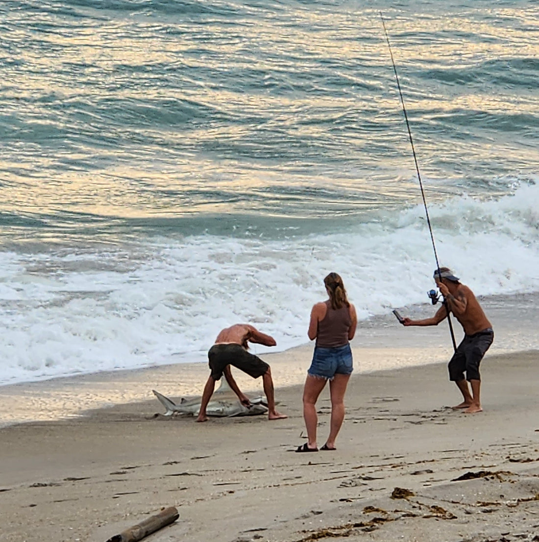 The Age Old Nemesis - the Surf Fisherman