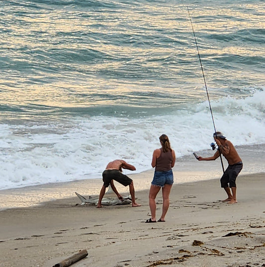 The Age Old Nemesis - the Surf Fisherman